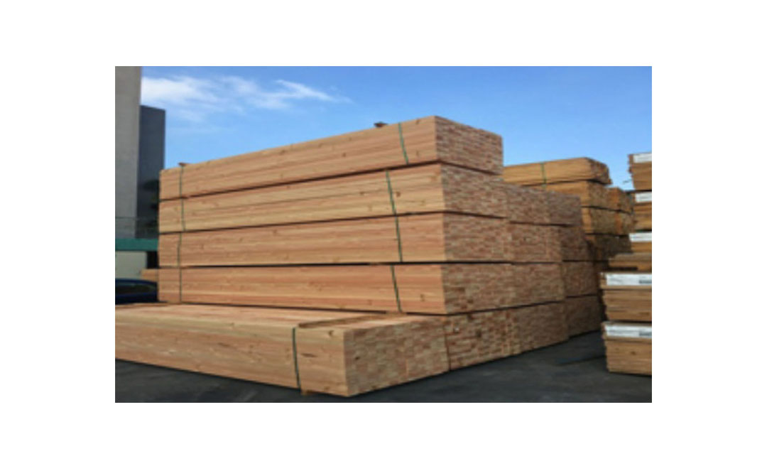 عمل رسمي، الخفافيش الخشبية
